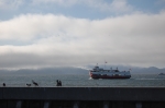 Pélicans au Pier 39