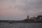 Retour vers le quai
