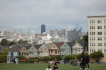 Painted Ladies