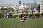 Painted Ladies