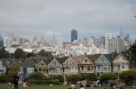 Painted Ladies