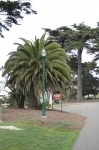 Alamo Square