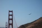 Golden Gate