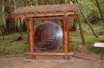 Muir Woods