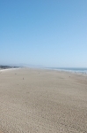 Ocean Beach