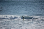 Surfers vus de Ocean Beach