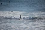 Surfers vus de Ocean Beach
