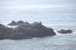 Vue de Ocean Beach