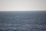 Vue de Baker Beach et dauphins