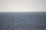 Vue de Baker Beach et dauphins