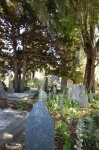 Basilique de la MIssion Dolorès (cimetière)