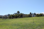 Alamo Park?