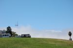 Alamo Park?