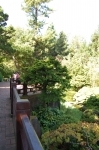 Golden Gate Park, Jardins de thé japonais