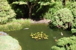 Golden Gate Park, Jardins de thé japonais