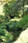 Golden Gate Park, Jardins de thé japonais