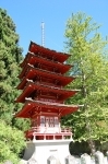 Golden Gate Park, Jardins de thé japonais