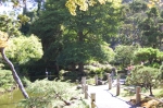 Golden Gate Park, Jardins de thé japonais