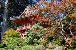 Golden Gate Park, Jardins de thé japonais