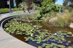 Golden Gate Park, Music Concourse