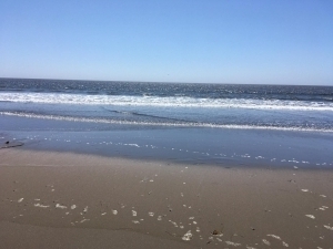 Stinson Beach