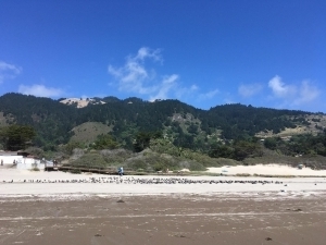 Stinson Beach